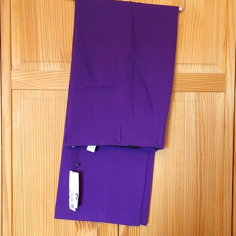 High waisted pants. Zara with tags.